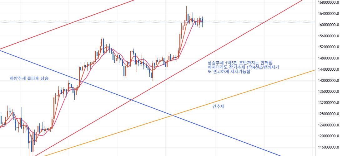 BTC / 알트