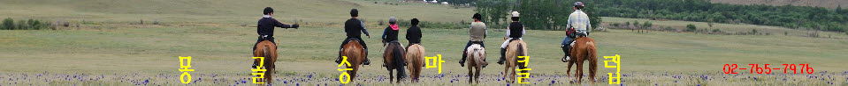 몽골승마클럽..몽골 유일의 전문승마여행 캠프