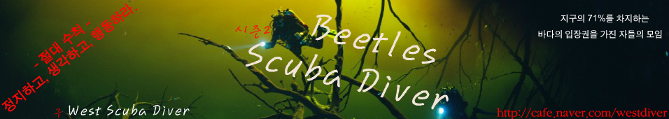 Beetles Scuba Diver - ̺    