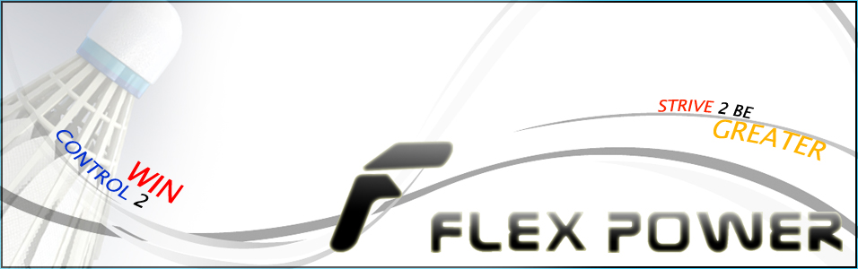FLEX POWER ÷ Ŀ -  