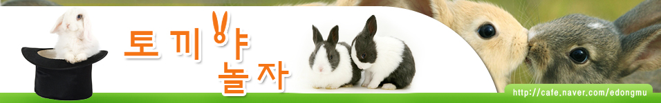 토끼야 놀자-애완토끼 분양,토끼농장 토사모,토끼용품 무료분양