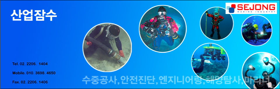   The Professional Diver's