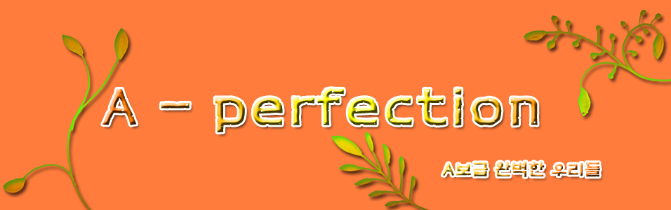  A-perfection [A Ʈ ]