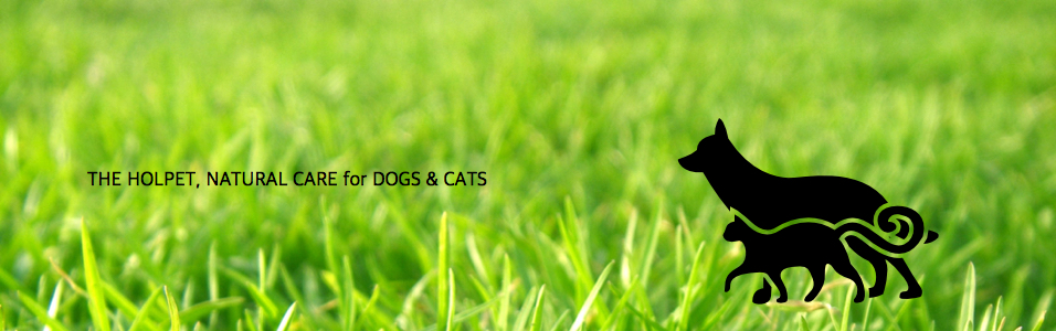 홀펫 ; 강아지 고양이 사료 생식 자연식 대체수의학 카페