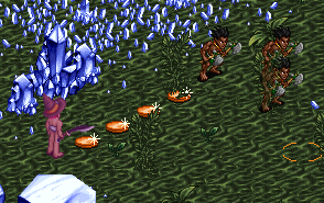 lod008.png?type=w740