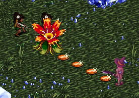 lod029.png?type=w740