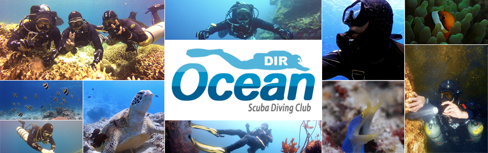 Scuba Diving Club "The Ocean"