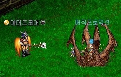 %BD%C2%B1%DE_%B8%C5%C1%F7%C7%C1%B7%CE%C5