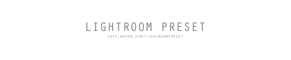 Lightroom Preset