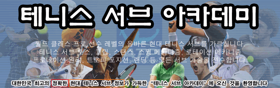  ״Ͻ  ī (TSA)   [Tennis Serve Academy]