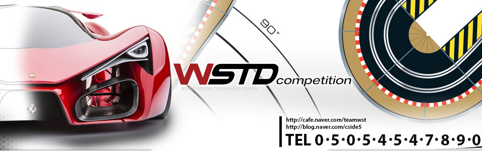 WSTD 드레스업 튜닝 : 네이버 카페