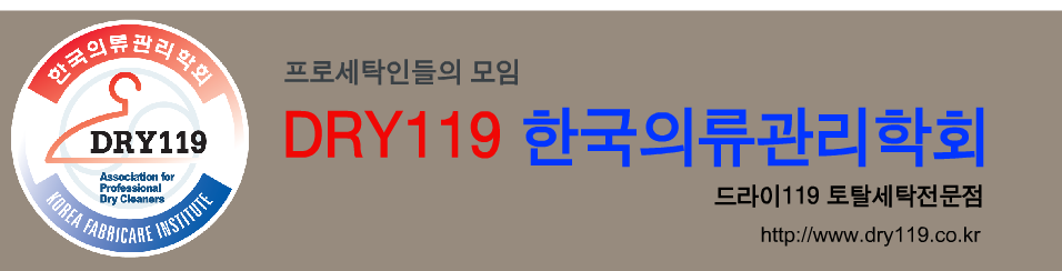 DRY119 한국의류관리학회