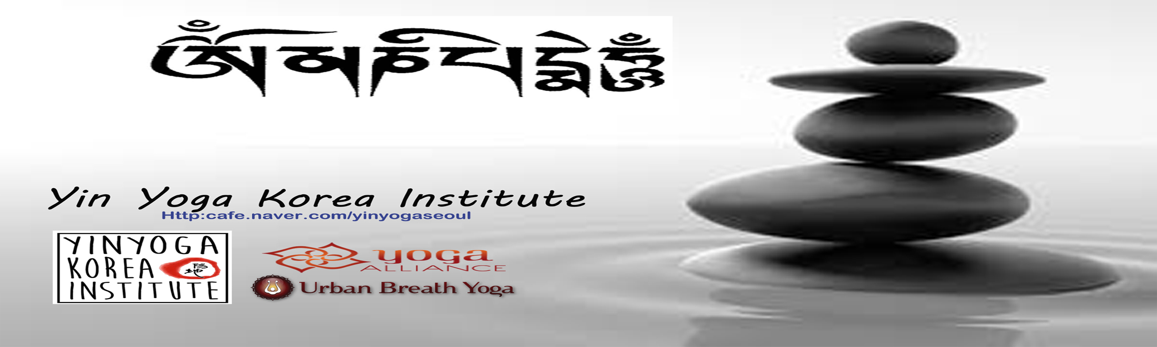 Yin yoga korea institute