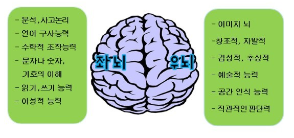 주산,암산 학습시 좌뇌와 우뇌의 역할 ? : 네이버 블로그
