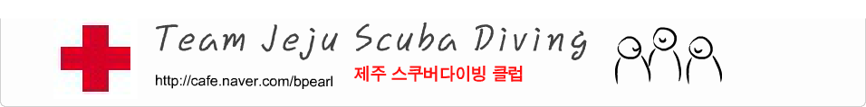 Jeju Scuba Diving Club