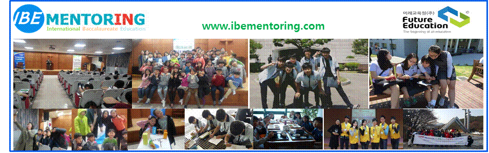 IBE Mentoring