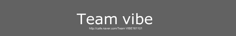 Team VIBE