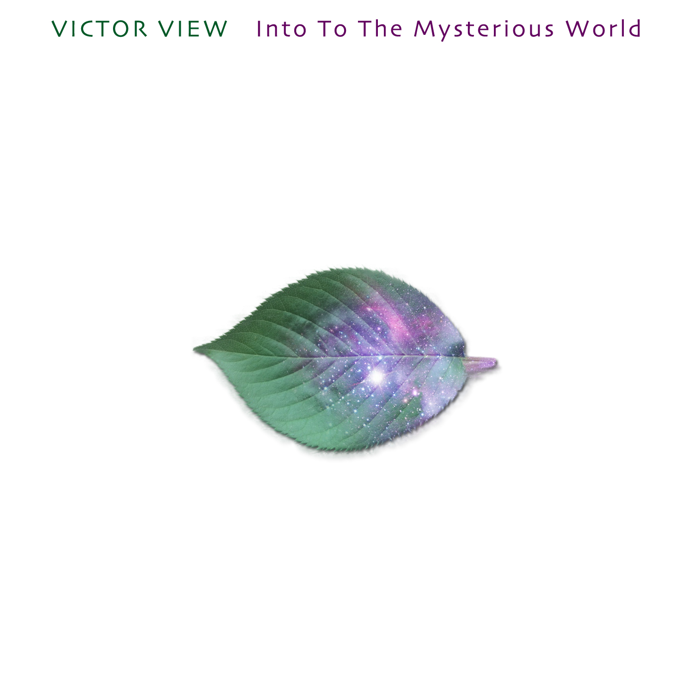 Victor View(빅터뷰)