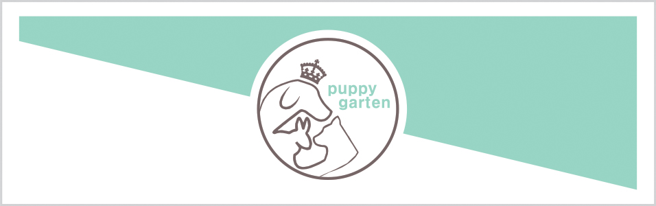 ǰ [World Dogs park - Puppy Garten]