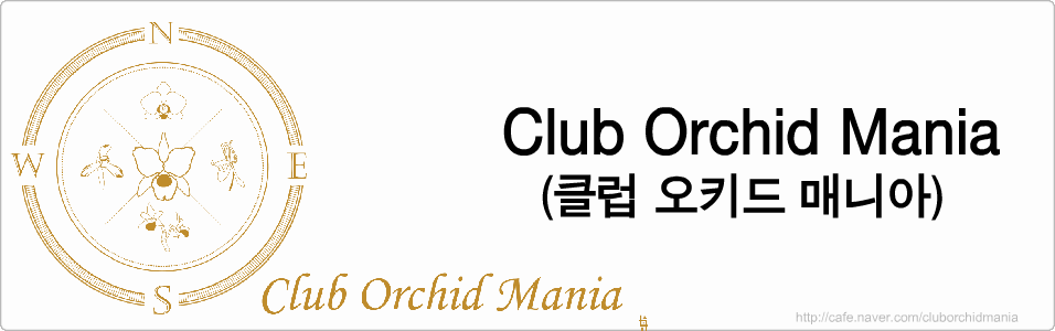 Club Orchid Mania(Ŭ Ű ŴϾ)