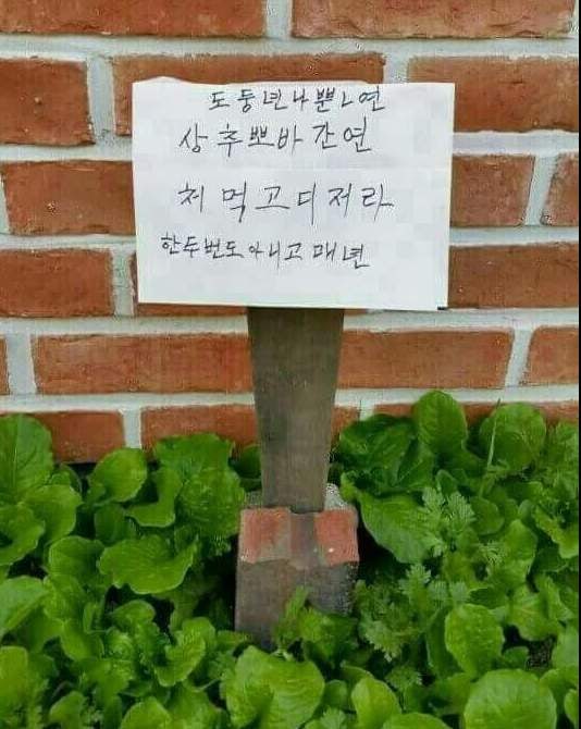 뽀바뽀바 이미지