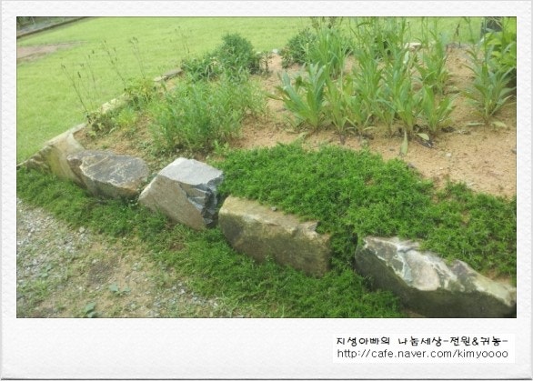 지성조경 이미지