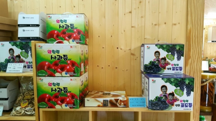 웰힐링협동조합 이미지