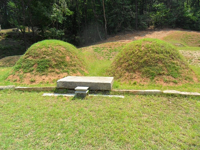 한국세륜 이미지