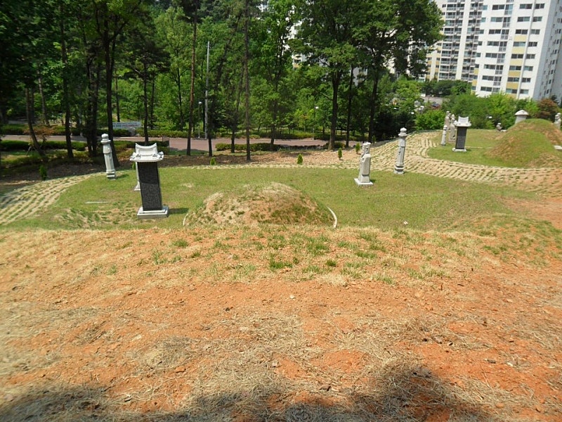 한국세륜 이미지