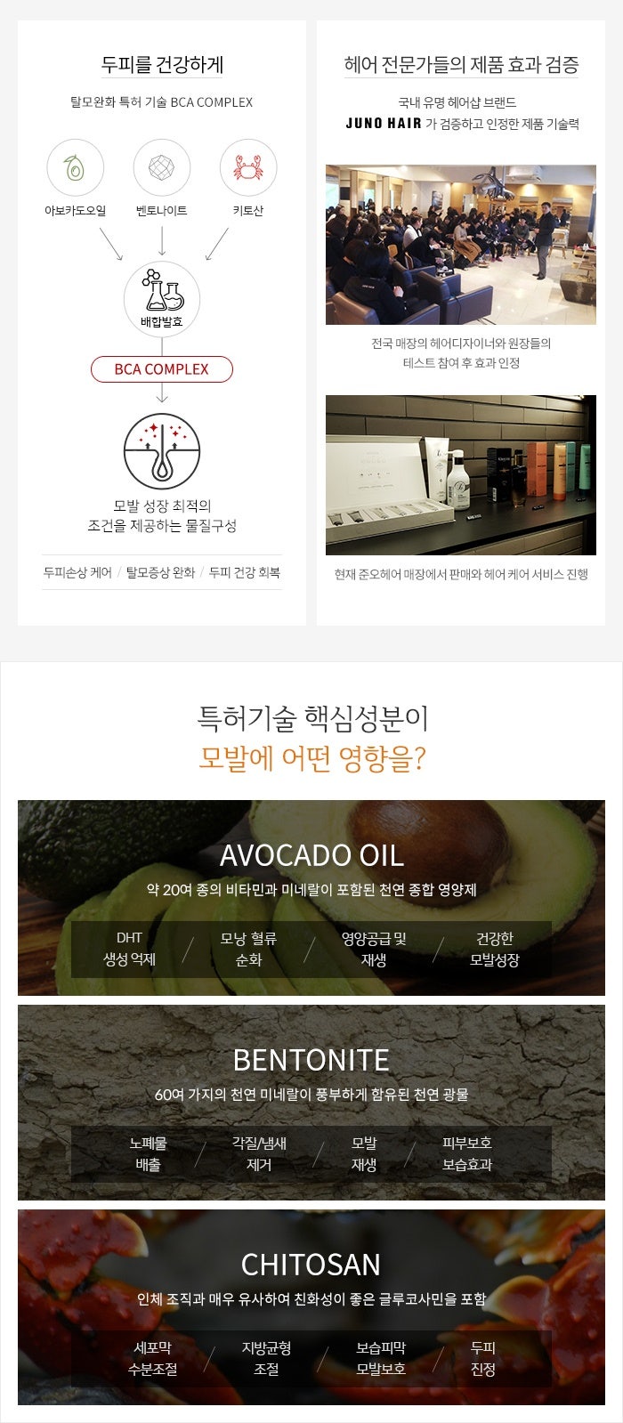제이나인 이미지