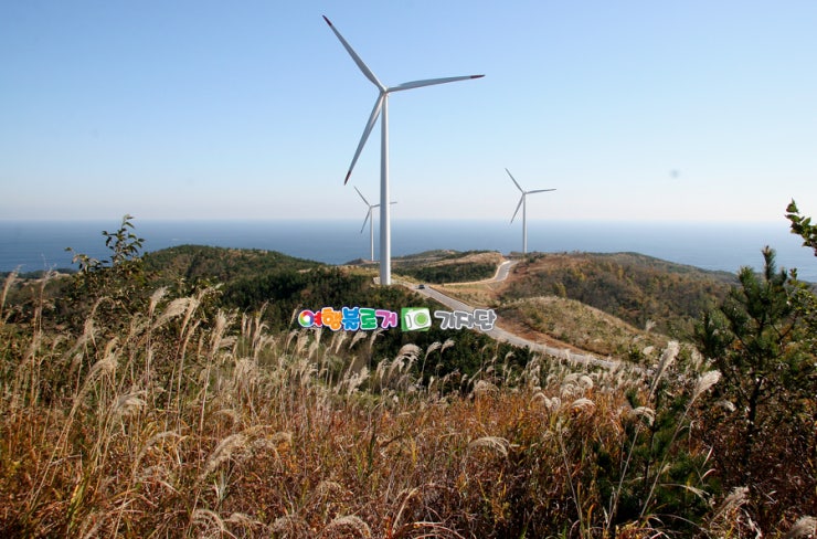 산해수석 이미지