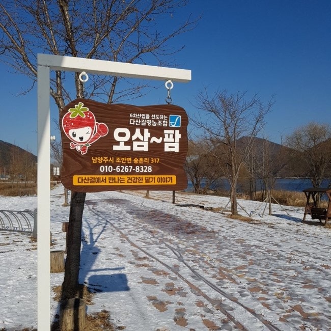 오삼~팜 이미지