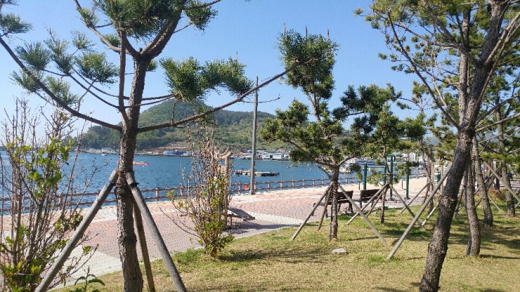 오렌지차박캠핑 이미지