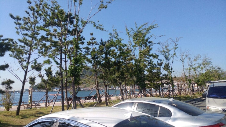 오렌지차박캠핑 이미지