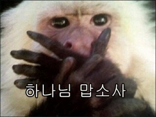 어신 이미지