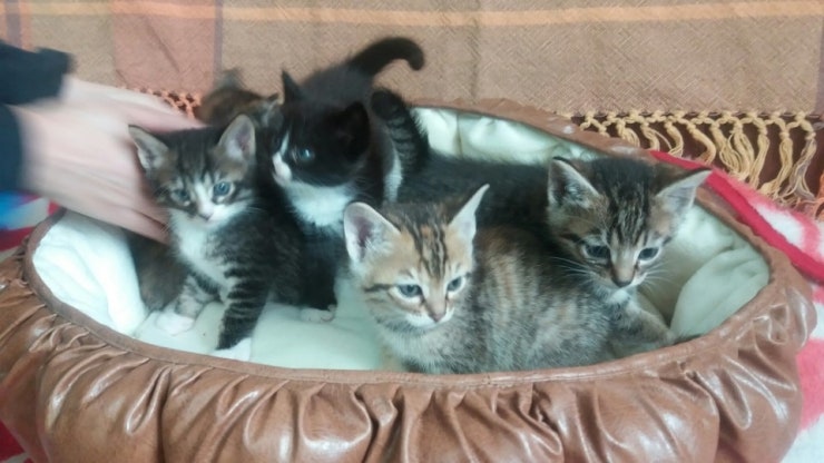 20180513_121722.jpg?type=w740