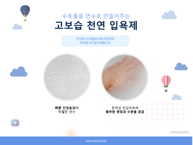 스킨홀릭 이미지
