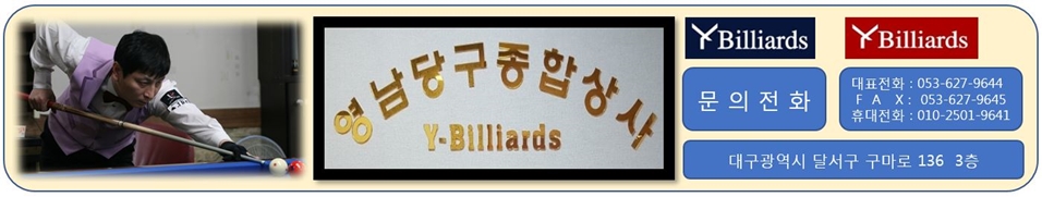 Y-Billiards (籸ջ)