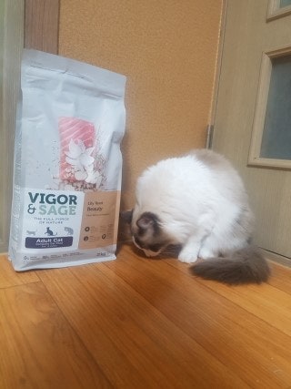 캣앤뷰티 이미지