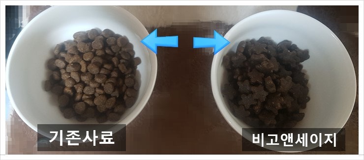 캣앤뷰티 이미지