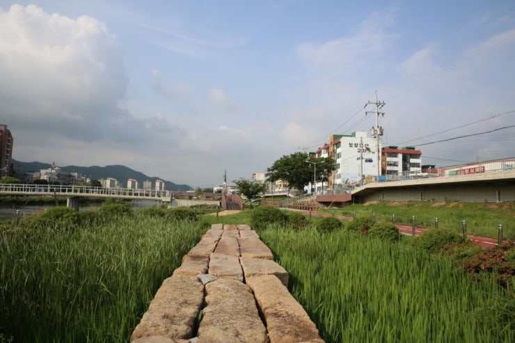 돌다리환경 이미지