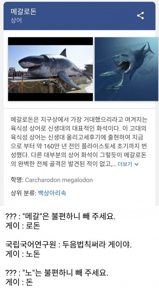 메갈은 돈이된다.jpg