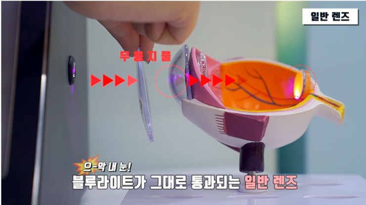 블루컷 이미지