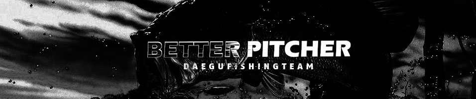 Better Pitcher