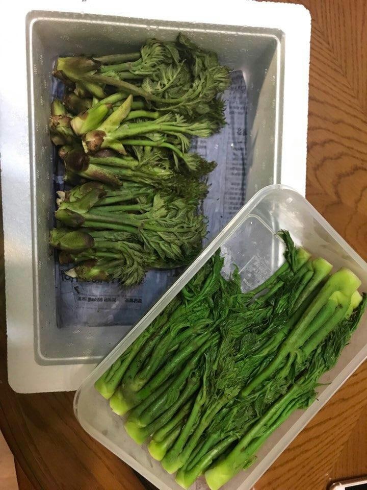 루디아유통 이미지