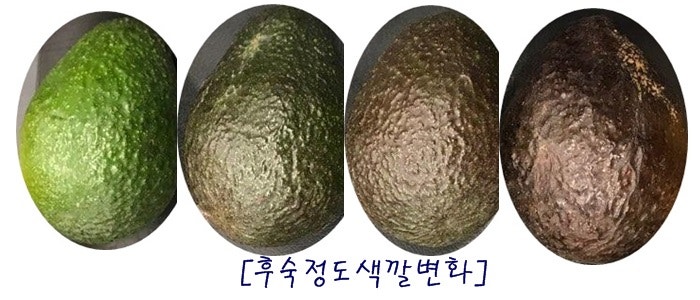 루디아유통 이미지