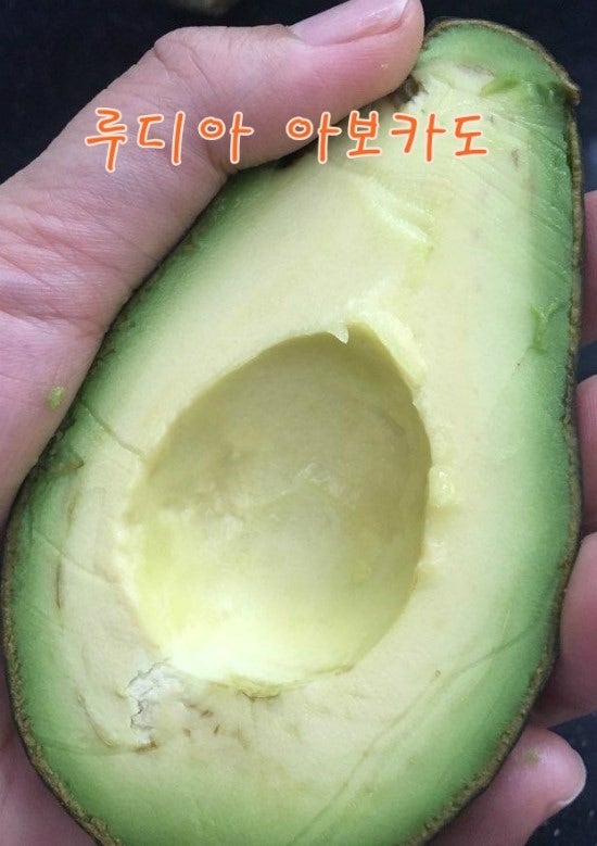 루디아유통 이미지
