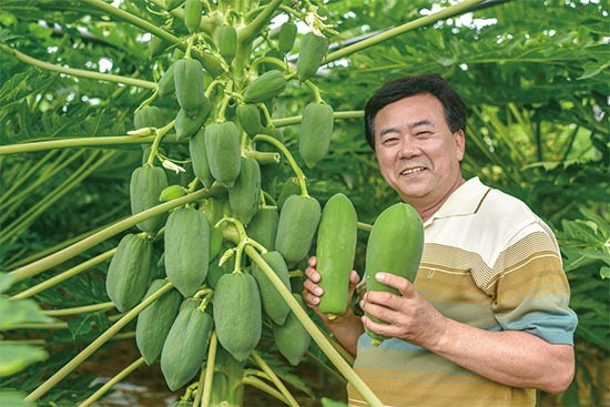 안정농산 이미지