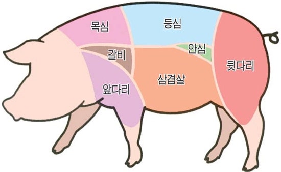 딜리고기 이미지