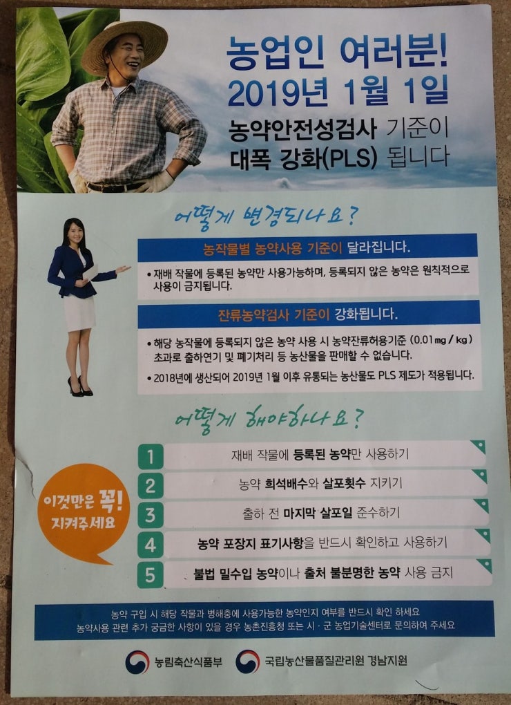 피엘에스 (PLS) 이미지
